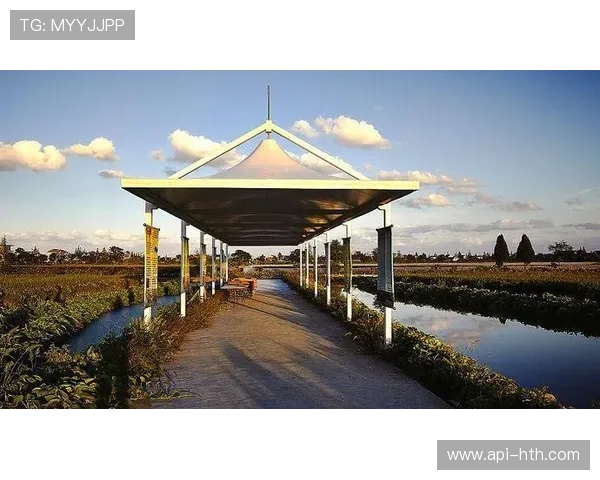 体育衍生内容生态系统自组织性增强